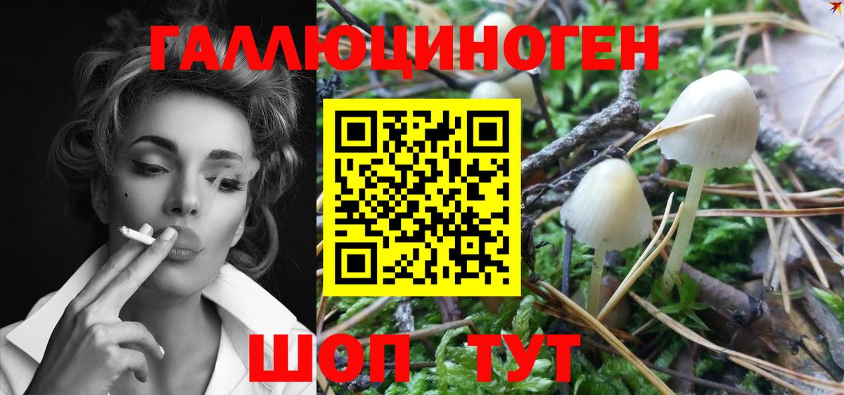 Новый Уренгой  Псилоцибиновые грибы Cubensis  Галлюциногенные грибы мицелий  Вход с VPN 